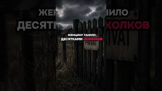 Германия: серьёзный инцидент на частной территории. Подробности. #германия #новостигермании