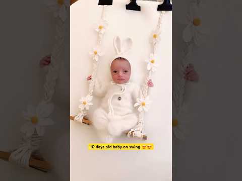 Cute rabbit on swing ❤️❤️ #youtubeshorts