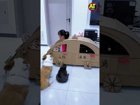 कागज की कार 😱| New Viral Gadgets, Smart Appliances, Kitchen Utensils/ Home Inventions