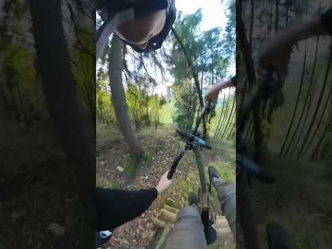 Pov: tu rides avec ton chien 🐕 #vttdescente #dog #ride