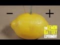 Understanding the Lemon Battery Experiment