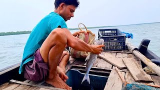 Hook fishing🎣 । fishing video । river fishing @Tradifoodsundarban