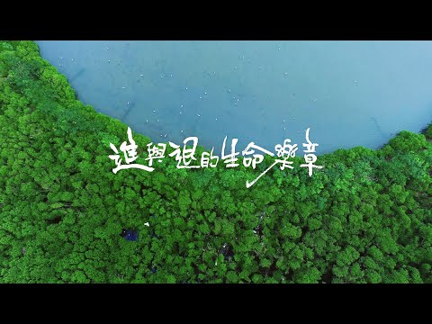 【台江】進與退的生命樂章：台江濕地生態影片中文版（3分鐘） - YouTube