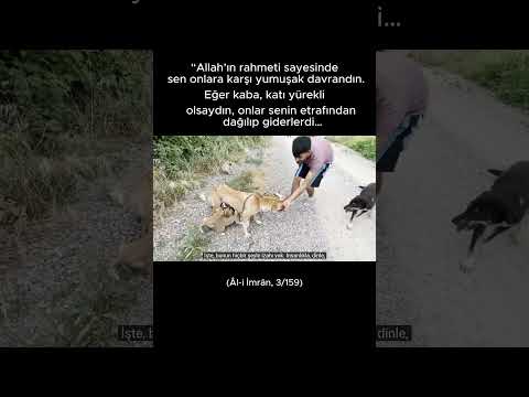 Allah sizin suretlerinize ve mallarınıza bakmaz, ancak kalplerinize ve amellerinize bakar.”15. Hadis