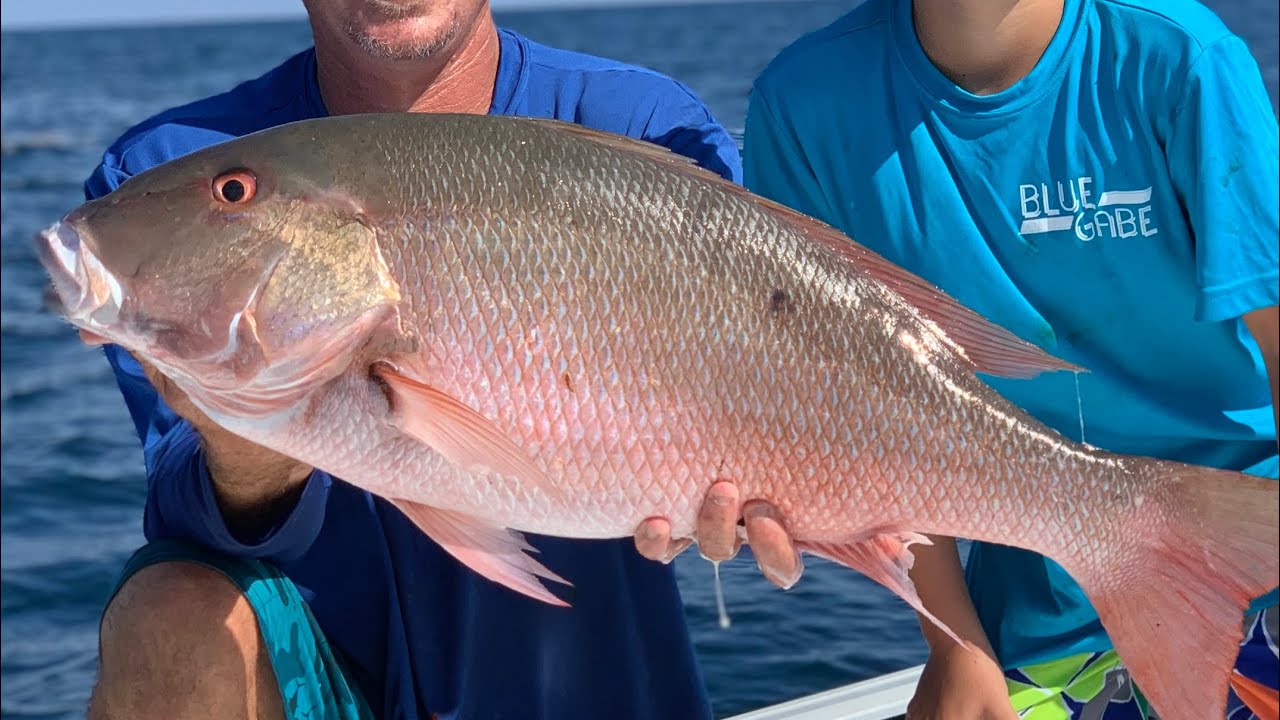 MUTTON SNAPPER Catch, Clean & Cook On the Traeger Grill BLUEGABE style - - Bluegabe