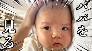 イケメンすぎるパパの顔をずっと見てくる赤ちゃん...