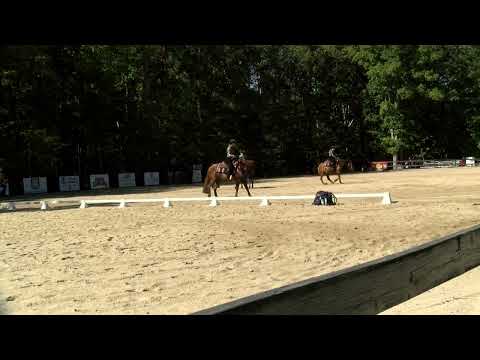 Gamecock Equestrian vs. UT Martin | Sept. 29, 2023