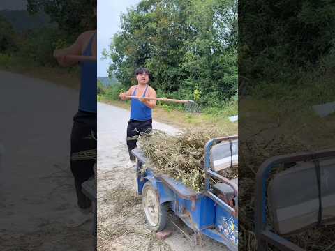 He Didn’t Know His Friend Was Inside the Trash