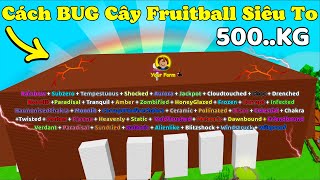 [Grown a Garden] BUG Cây Fruitball Siêu To Hơn 500KG Hiệu Ứng Charkra Kết Hợp
