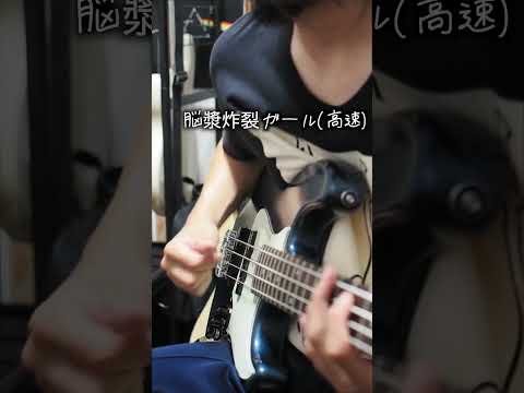 脳漿炸裂ガール(高速)  bass cover