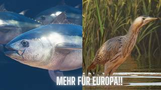 Planet Zoo 2 MEHR FÜR EUROPA!