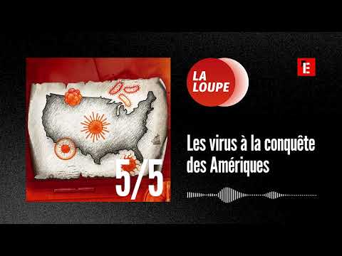 Les virus à la conquête des Amériques (5/5) : La fièvre de l’indépendance à Haïti