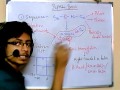 Ramachandran Plot and Peptide Bonds