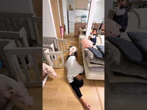 豚共と娘の前で◯んだふりしたら悲しくなった