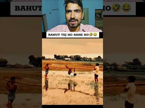 Duckling saves seriously injured cat 🐈#DuckRescue #CuteAnimals #AnimalRescue