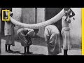 Historical Trafficking and Modern Implications