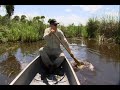 Brady Barr's Alligator Adventures