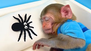 LIVE 🔴 Monkey Chu Chu Bathing In The Bathroom With Eating Fruit With Ducklings Side Swimming Pool