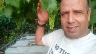 عاجيل أجي تشوف لمفاجاء لمعامن تلقيت في اسبانية   وعرض عليا نخدم معاه ويصاوب ليا لوراق ربي كبير