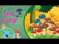 Fungi: Growth, Types, and Uses