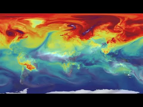 Carbon Capture - How Burning Trees Can Stop Climate Change