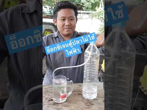 ออกซิเจนตู้ปลาไม่ใช้ไฟฟ้า 👆+🧠 @bangdiy