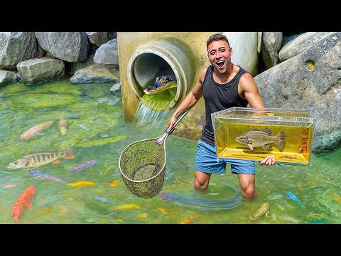 CAPTURANDO FILHOTE de PEIXE MONSTRO no TUNEL do JACARÉ