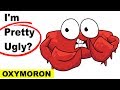 Understanding Oxymorons