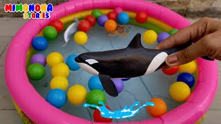Nombres de animales del mar océano 🐬🐙 Características y curiosidades  ✨Mimonona Stories