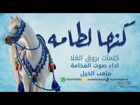 شيلة كنها لطامه اداء صوت الفخامه متعب الخيل جديد2023 حصرياً
