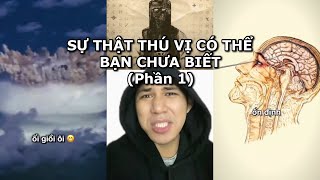 TỔNG HỢP SỰ THẬT THÚ VỊ CÓ THỂ BẠN CHƯA BIẾT (PHẦN 1)