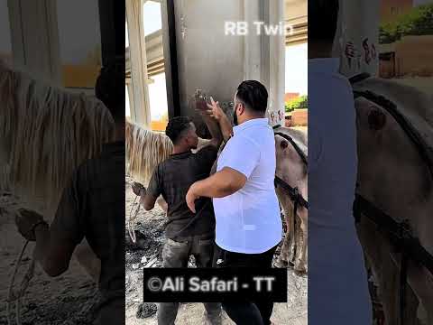 The Man Gave A New Life A Helpless Horse 🐎🐴