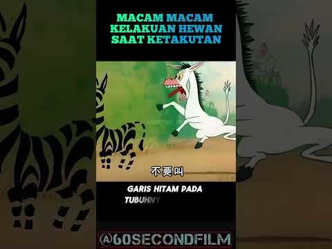 MACAM MACAM KELAKUAN HEWAN SAAT KETAKUTAN#cuplikanfilm