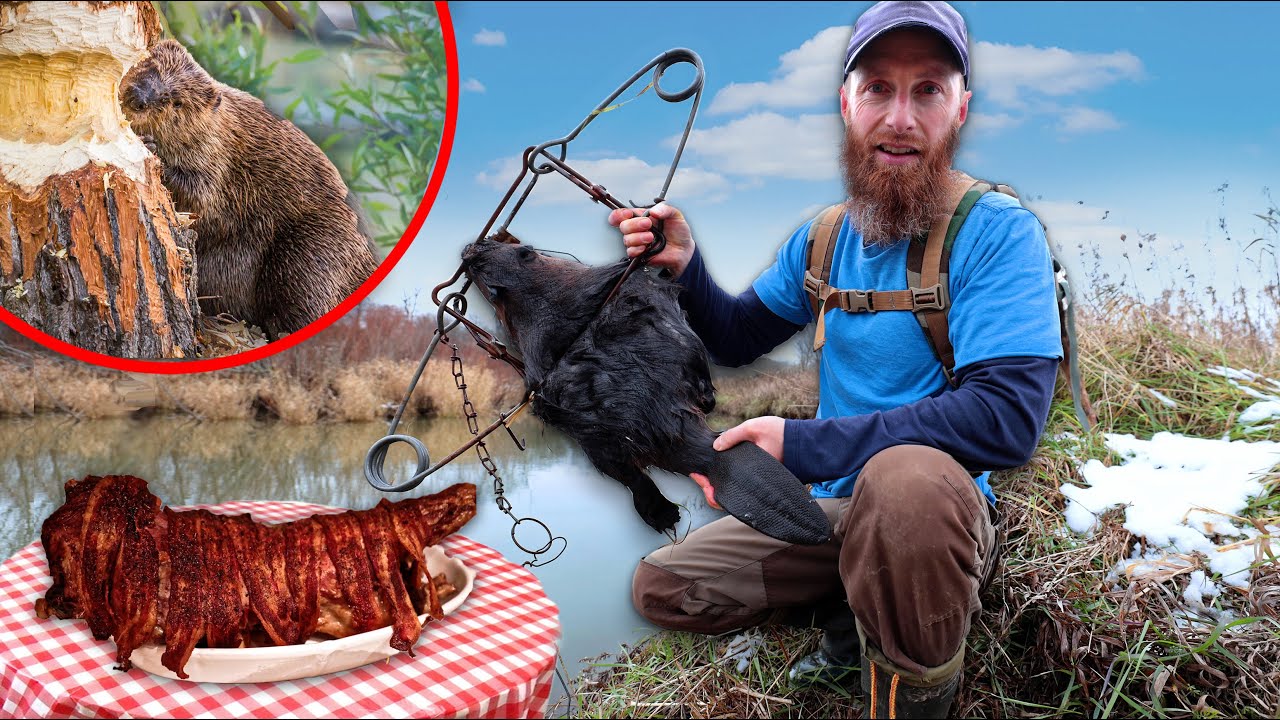 BEAVER BACON BAKED (Thief Caught on Cam Stealing) BIG DADDY BONUS Trap and Cook!