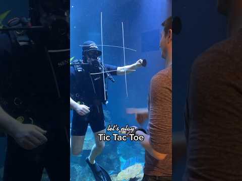 BEST OF-Videos Platz 1 🌟 Tic Tac Toe unter Wasser 🤿 #hausdesmeeres #tictactoe