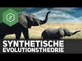 synthetische-evolutionstheorie/