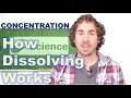 Exploring Dissolving and Molarity Concepts