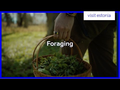 Foraging