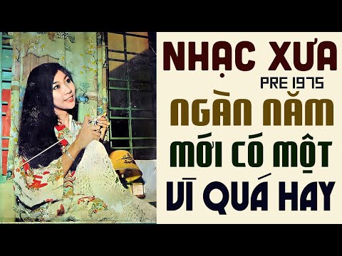 Nhạc Xưa Ngàn Năm Mới Có Một - Nhạc Vàng Xưa Chọn Lọc Hay Nhất Thế Kỉ | Ai Cho Tôi Tình Yêu