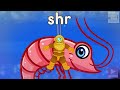 Understanding 'Shr' Sound and Words
