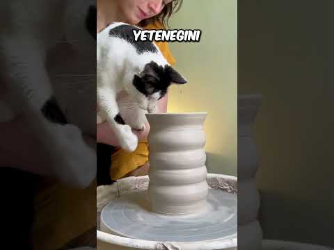 Bu Kedinin Patileri Sanat Eserine Dönüştü! 🐾🎨