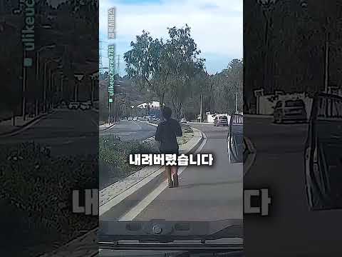 느닷없이 차를 버려버린 운전자