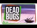 Understanding Why Bugs End Up on Their Backs