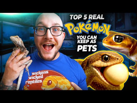 10 REAL LIFE Pokémon YOU Can Keep as Pets!