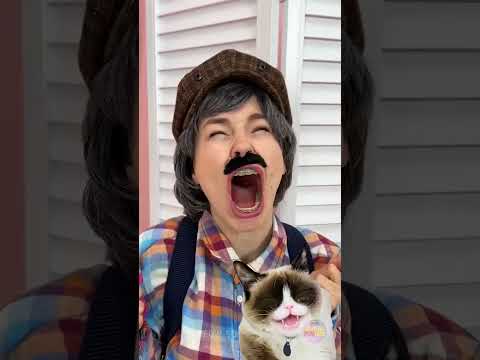 WHEN YOU TRY A SAND PIZZA PRANK BUT THE CAT EXPOSES YOU 😳🐾🍕 #RelatableUSA #AmericanHumor