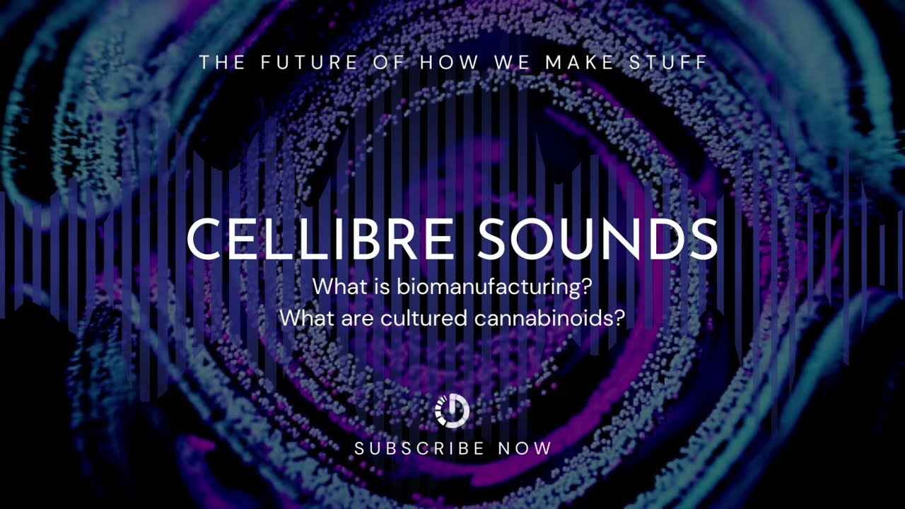CELLIBRE SOUNDS: Biomanufacturing and Cultured Cannabinoids