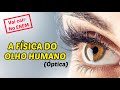 Eye Anatomy and Vision Concepts