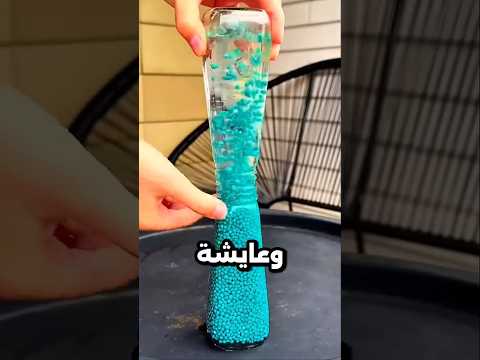 حماتي خدت اكبر مقلب في نفسها 😂
