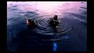 Viel Spass mit der Vorschau von dem Psychodrama "Open Water"