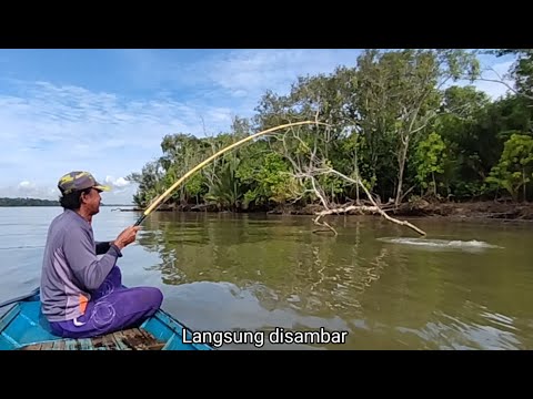 Setelah mancing dua hari hasil langsung dijual